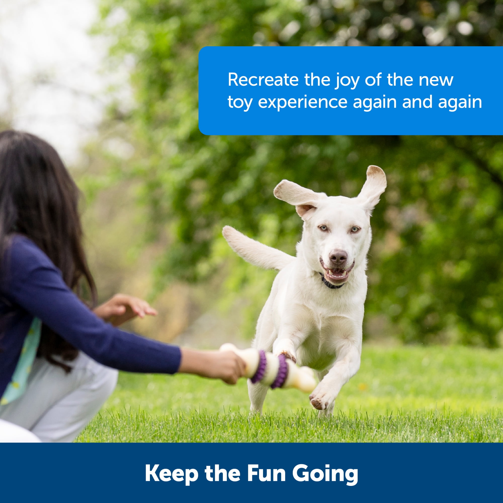 PetSafe Busy Buddy Cravin' Corncob Dog Toy – Treat Ring Holding
