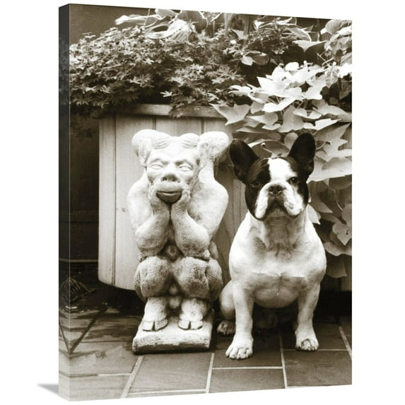Global Gallery's 'Friends' By Jim Dratfield Stretched Canvas Wall Art