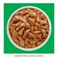 thumbnail image 4 of Alimento para Perro Purina Dog Chow Cachorro Sabor Pollo 100 g, 4 of 4