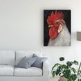 thumbnail image 3 of Trademark Fine Art 'Rooster Portrait II' Canvas Art by Ethan Harper, 3 of 4