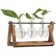 thumbnail image 2 of Soporte de madera Deco con jarrón de vidrio hidropónico, jarrón colgante, jarrón de flores, jarrón de mesa, jarrón decorativo, 2 of 4
