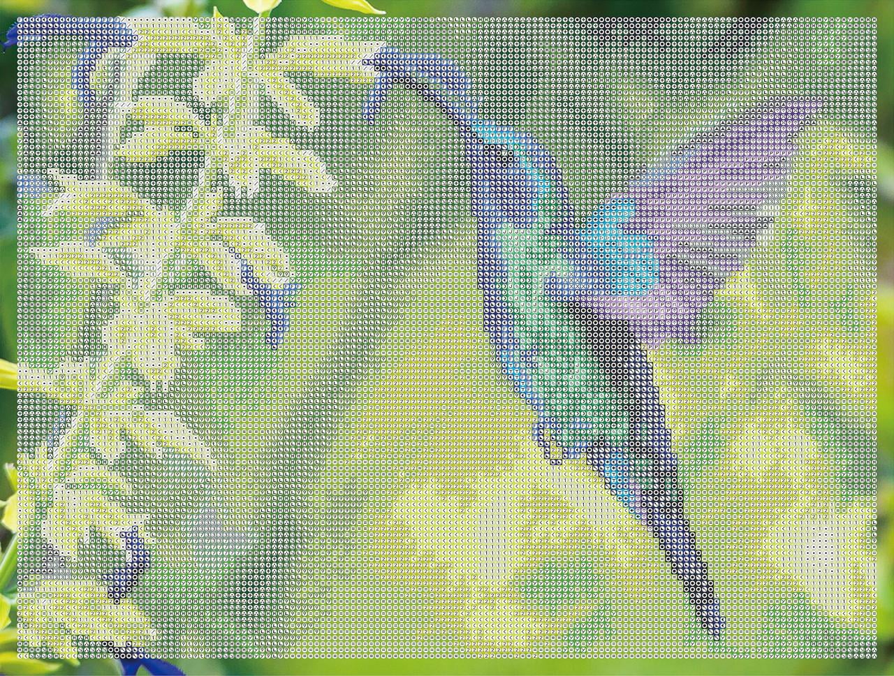 DIAMOND DOTZ® Hummingbird Garden Special Edition Diamond Painting