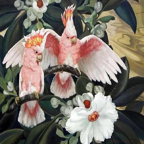 Cuadros Decorativos 5D bricolaje completo taladro diamante pintura pájaro y flor bordado Craft Kit pared arte DQrwqpou Nuevos Originales