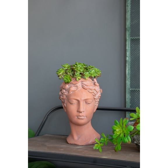CoSoTower D7X11" Visage Head Bust Planter, Brown