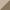 Beige, variant on EAGLE PEAK 13 x 13 ft Pop-up Outdoor Canopy Auto Extending Eaves (169 Sqft of Shade) Gray