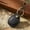 Black, variant on For AirTag Locator Leather Case Access Card with Keychain