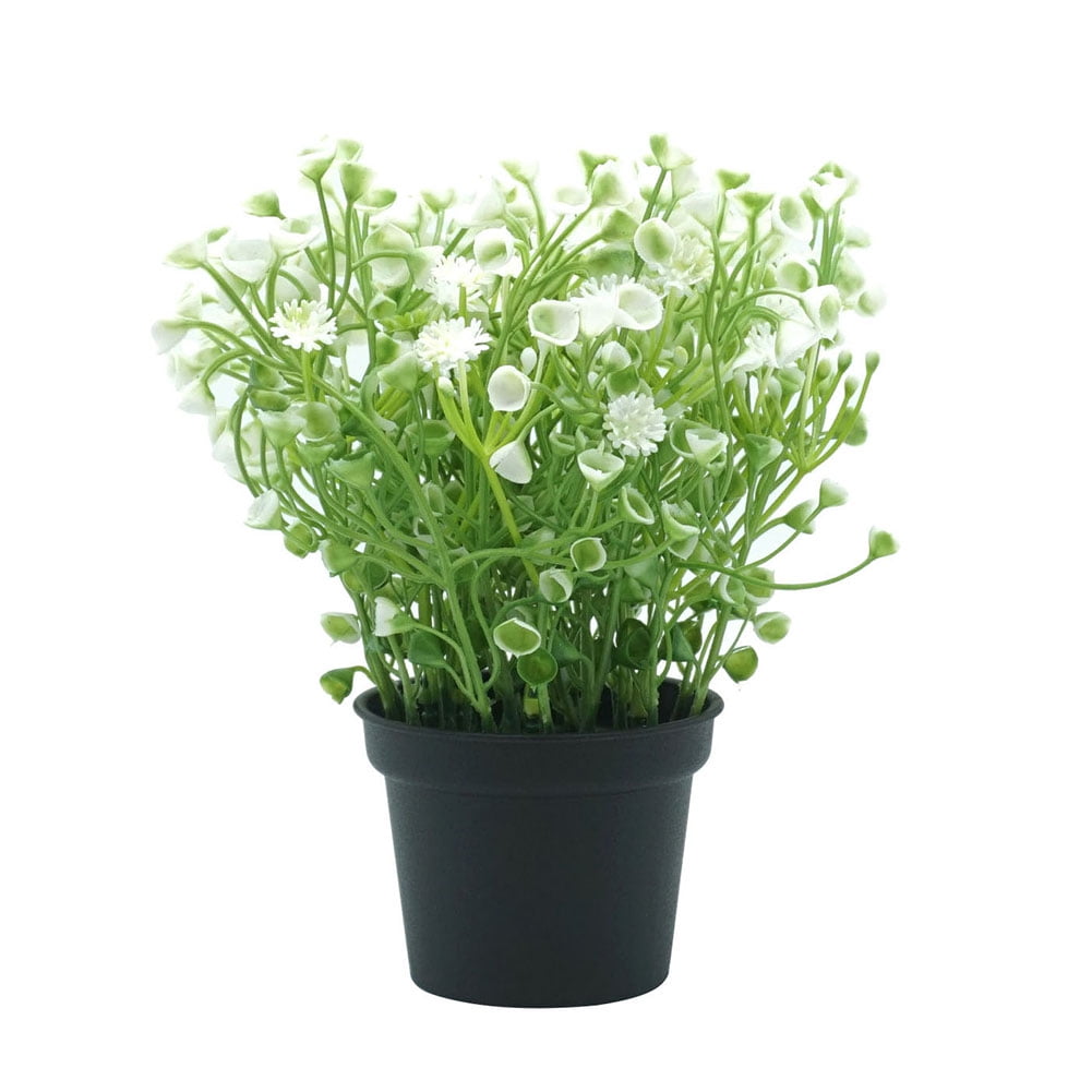 Цветы В Горшках Купить Москва Адреса