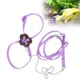 thumbnail image 4 of Bearded Dragon Leash, Bearded Dragon Harness Bearded Dragon Leash And Harness Set Adjustable Lizard Walking Control Traction Rope for Reptiles Carrying Walking, 4 of 8