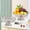 Clear, variant on Plastic Fruit Platter with Detachable Base - 9.84 Inch Vegetable Tray for Draining and Serving - Snack or Candy Plate for Home Kitchen Living Room Coffee Table - Lightweight Household Serving Dish