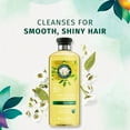 Herbal Essences Shine Collection Shampoo, 13.5 fl oz