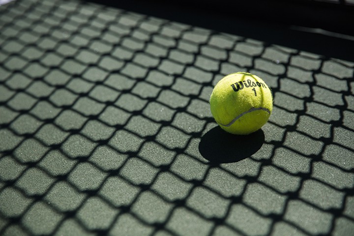 Wilson Championship Extra-Duty Tennis Balls (1 can, 3 balls) - image 3 of 10