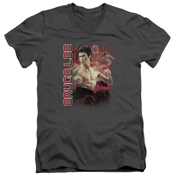 Bruce Lee Fury S/S Adult V-Neck T-Shirt Charcoal