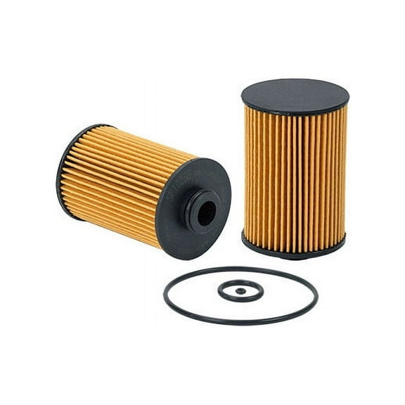 Fuel Filter - Compatible with 2010 - 2018, 2020 Isuzu NRR 5.2L 4-Cylinder 2011 2012 2013 2014 2015 2016 2017