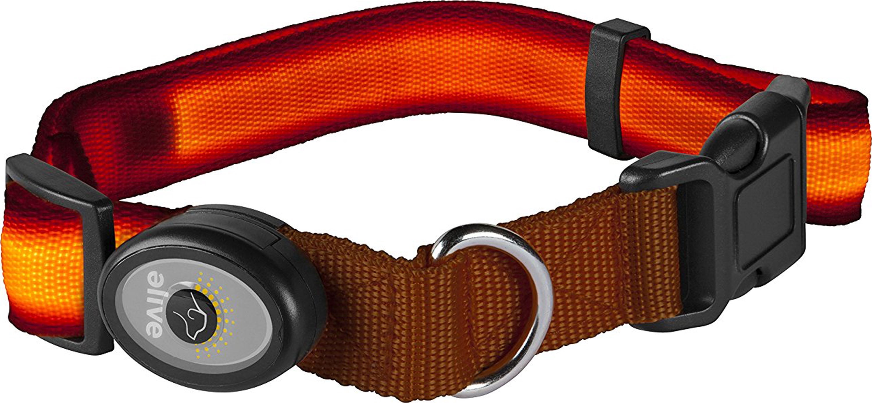 elive dog collar