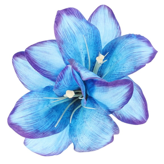 WORGEOUS  Hawaiian Hair Clip Flower Clips for Women Woman Seaside Blue