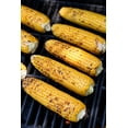 thumbnail image 5 of TomorrowSeeds - Kandy Korn Sweet Corn Seeds - 50+ Count - For 2026 Planting Red Purple Husk SE, 5 of 11