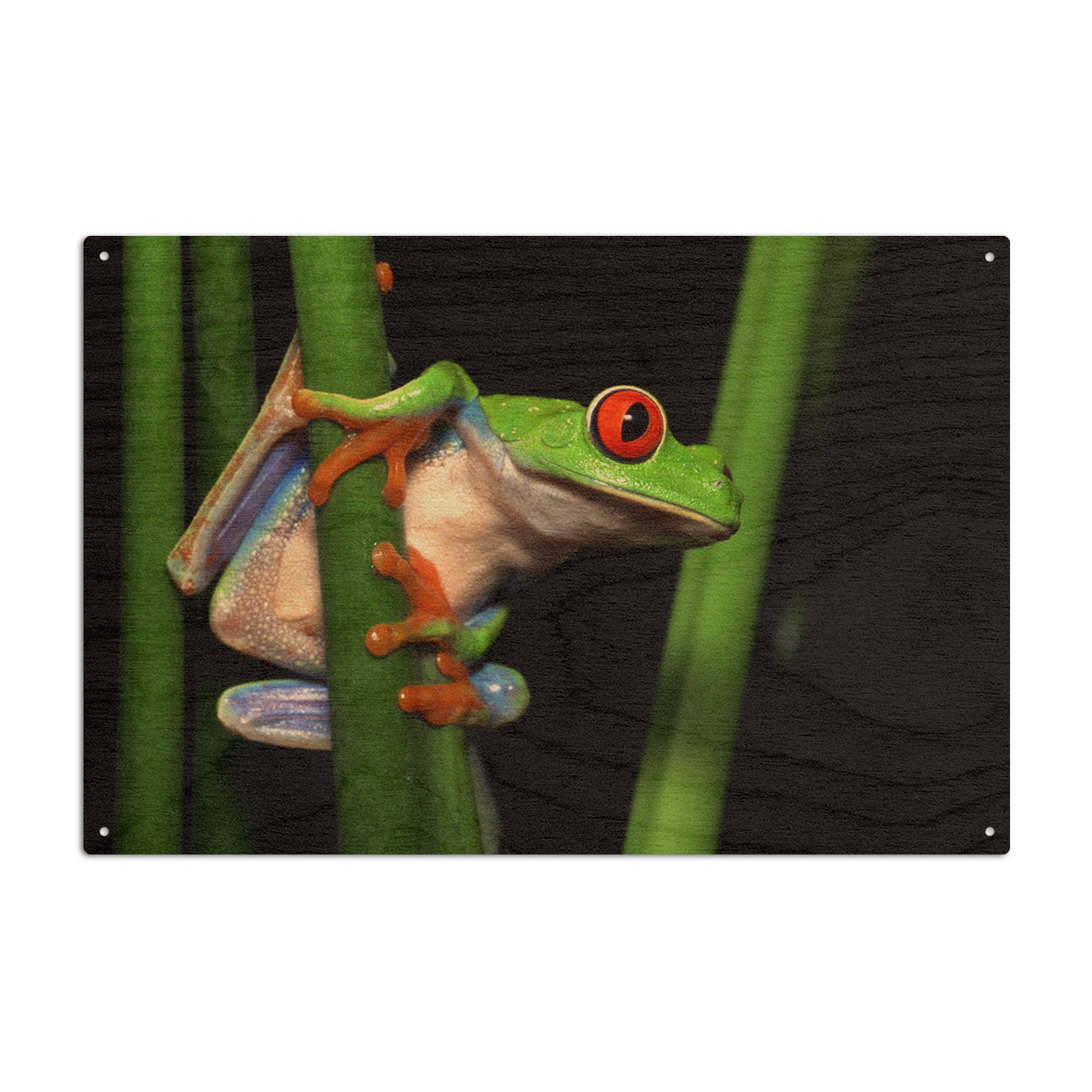 Tree Fog Sign Tree Frog Birch Wood Wall Sign (6x9 Rustic Home Decor, Ready to Hang ...