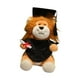 thumbnail image 4 of Muñeco de peluche de león de graduación con sombreros, suministros para figuras de animales de peluche para tu Negro, 4 of 9