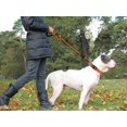 thumbnail image 2 of LAICAIW Rope Dog Leash 4 FT with Comfortable Padded Handle, Highly Reflective Threads Dog Leash for Large Dogs, 1/2 inch, Orange, 2 of 7