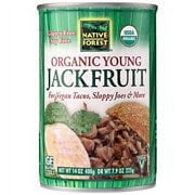 (6 Pack)Native Forest Organic Young Jackfruit, 14 oz