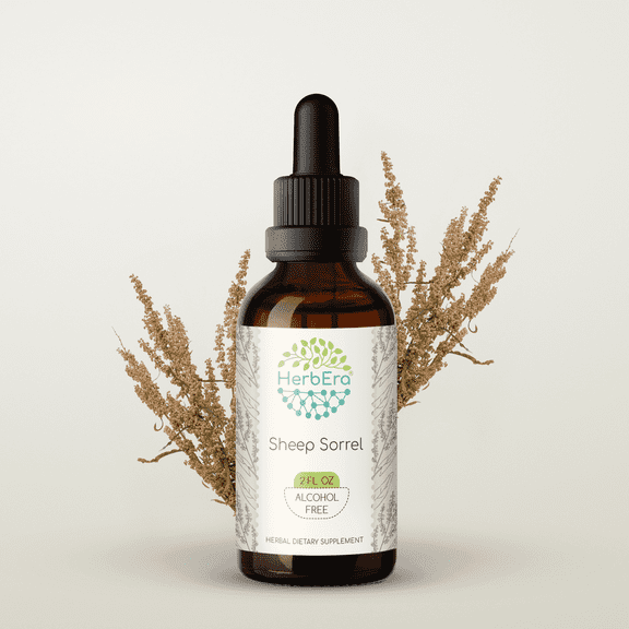 HerbEra Sheep Sorrel Tincture, Herbal Dietary Supplement for Digestive Support, Sheep Sorrel (Rumex acetosella) Dried Herb Extract, Natural, Alcohol-Free, Drops 2 oz