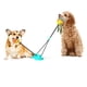 thumbnail image 5 of Suministros Para Perros Molares Bola Resistente A Mordeduras Succionador Fuerte Juguete Para Perros Suministros Para Mascotas Cateissary PT001654-03, 5 of 7