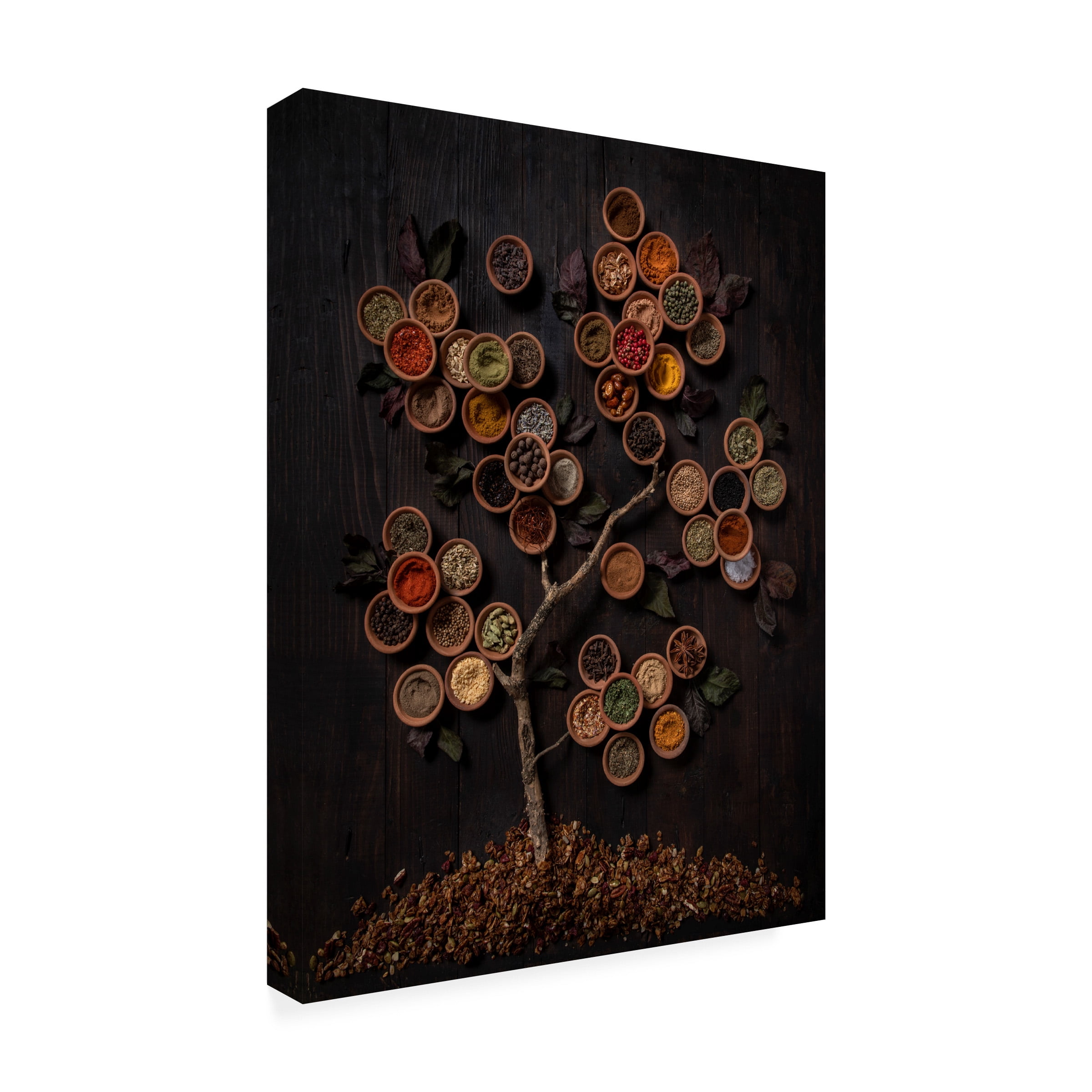 Diana Popescu 'Tree Of Spice' Canvas Art