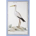 thumbnail image 3 of Gordon, Robert J. 10x14 Black Modern Framed Museum Art Print Titled - Stork, 3 of 5