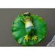 thumbnail image 2 of 5x Acostado Rana Estanque Artificial Decoración Flotante Adorno de Plantas Y Animales Fuente Estanque Decoración Artesanía, 2 of 9
