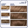 thumbnail image 3 of Color de pelo Clairol Coloración permanente Nice n Easy 7 Rubio oscuro 1 Application, 3 of 5