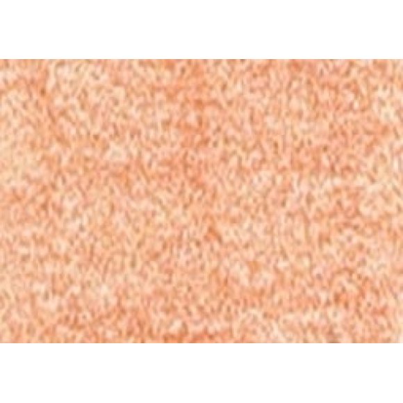 Caran Dache Artiste Pablo Crayon Rouille