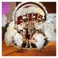 thumbnail image 7 of Feather Fan Hand Held Dance Folding Big Plumes Fans Performance Dance Party Stage Carnival Show Props Long, 7 of 7