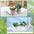 thumbnail image 4 of 10 Pcs 11.8"x7.87" Clear Plastic Plant Saucer,Bexikou Rectangular Plant Drip Trays Transparent Thick Heavy Duty Plastic Liners for Planters for Indoors Outdoors Flower Pots Window Sills Window Shelf, 4 of 7