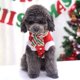 thumbnail image 3 of Disfraz de Papá Noel para perros Ropa navideña Disfraz de reno para perros Suéter cálido para perros Abrigos para mascotas Trajes navideños para perros pequeños Gatos, 3 of 4