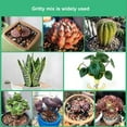 5Lb Bonsai Succulent and Cactus Soil Gritty Mix Rocks Gravel for