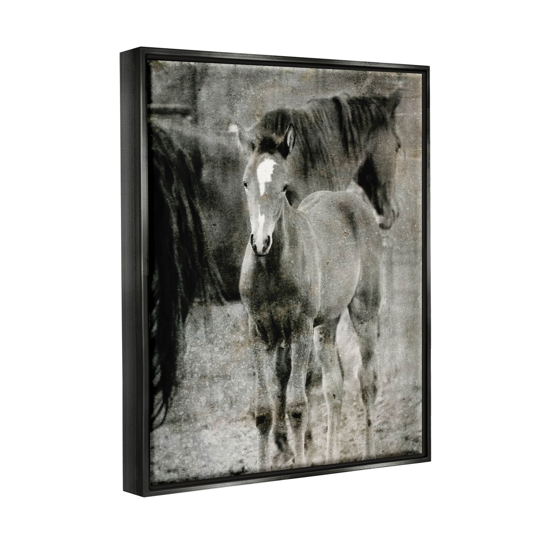 Vintage Foal Horse Farmland Animals & Insects Graphic Art Jet Black Framed Art Print Wall Art