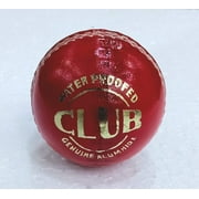 White Leather Cricket Ball Hand Stitch Club Tournament Sport Cricket Ball