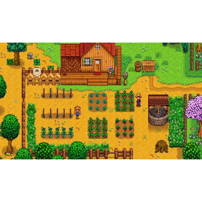 Amazon.com: Stardew Valley Collector's Edition (PS4) : Video