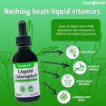 thumbnail image 3 of LIQUIDHEALTH Chlorophyll Liquid Drops Deodorant, Detox, Energy & Immune Support, 2 fl Oz 2-Pack, 3 of 6