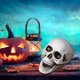 thumbnail image 4 of Halloween Skeletons Plastic Realistic Fake Simulation Human Skull HeadBone Model Halloween Prop Realistic Mini Skeleton Spooky Halloween Decoration, 4 of 5