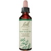 Bach Original Formulas Flower Remedies Drops, Holly, 0.7 Fl Oz
