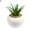 Style#8, variant on 1 Pack Artificial Succulents in White Geometric Ceramic Pots | Mini Indoor Fake House Plants - Round Shape
