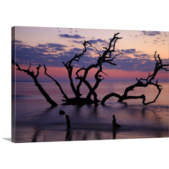 Great BIG Canvas | "Georgia, Jekyll Island, Driftwood Beach at sunrise" Canvas Wall Art - 36x24
