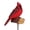 Cardinal, variant on Regal Art & Gift Songbird Solar/Sound Stake - Cardinal Acrylic 27.5" Light Lantern