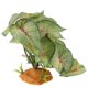 thumbnail image 1 of FUTUREORYY Planta Artificial Para De Terrario Y Acuario Reptil, 1 of 6