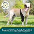 thumbnail image 2 of Dog Knee Brace for Torn ACL Hind Leg,Strong Support to Reduce Joint Pain and Muscle Sore, with Side Stabilizers for Back Leg, 2 of 5