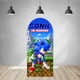 thumbnail image 5 of Fondo de arco de Sonics con erizo de doble cara para decoración de fiesta de cumpleaños de niños, baby shower, fotografía de fondo, accesorios de estudio, 5 of 5