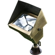 Dabmar Lighting LV117-ABS Solid Brass Area Flood Light with Hood- Antique Brass