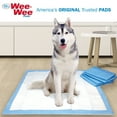 thumbnail image 3 of Four Paws Wee-Wee Febreze Freshness Odor Control Potty Training Dog & Puppy Pads, XL 30 Count, 3 of 11