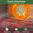 thumbnail image 6 of Food Dehydrator Machine 12 larger Stackable Stainless Steel Trays Jerky Dryer, 6 of 7